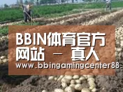 种植基地七(图1)