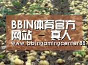 种植基地七