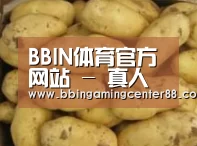 产品展示标题6