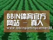 种植基地六