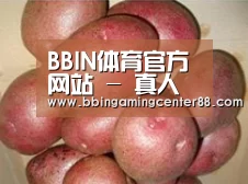 产品展示标题1