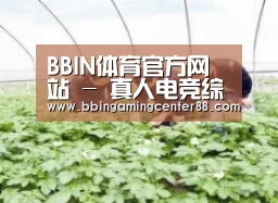种植基地三