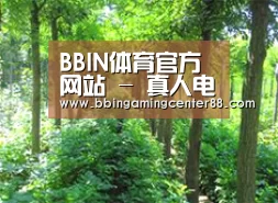 种植基地九