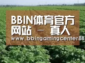 种植基地五