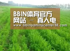 种植基地四