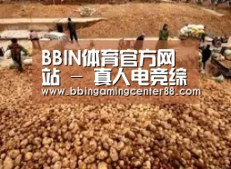 种植基地二