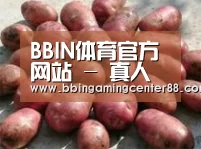 产品展示标题5(图1)