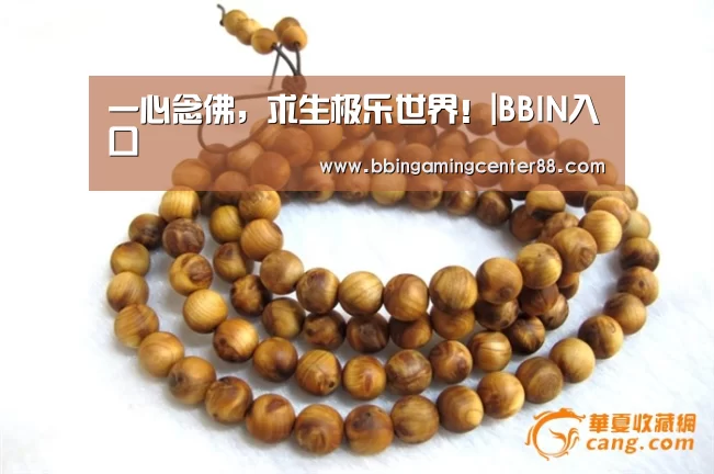 一心念佛,求生极乐世界!|BBIN入口(图1) BBIN入口