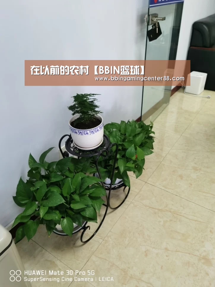 在以前的农村【BBIN篮球】(图3) BBIN电子