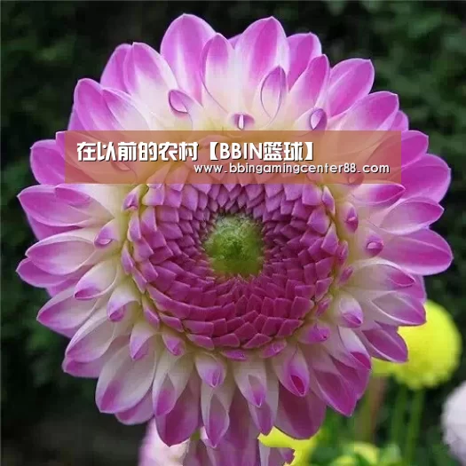 在以前的农村【BBIN篮球】(图4) BBIN电子