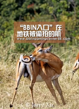 “BBIN入口”在地铁被偷拍的肌肉男,玩起极限健身来,简直太生猛了(图1) BBIN篮球