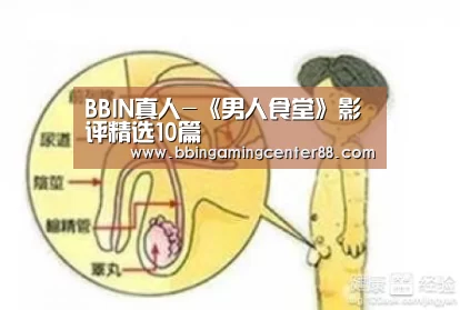 BBIN真人-《男人食堂》影评精选10篇(图1) BBIN篮球