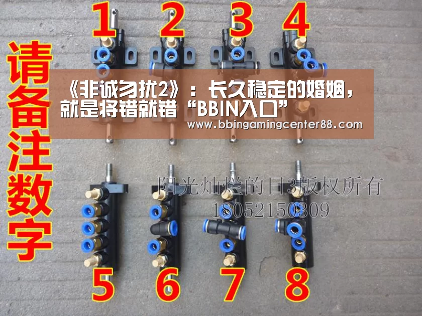 《非诚勿扰2》:长久稳定的婚姻,就是将错就错“BBIN入口”(图2) BBIN篮球