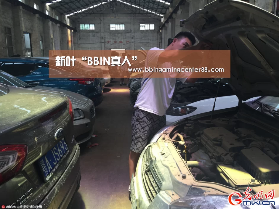 BBIN篮球